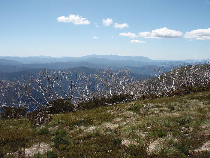  Mt Buffalo seen from the Feathertop Ridge Trail