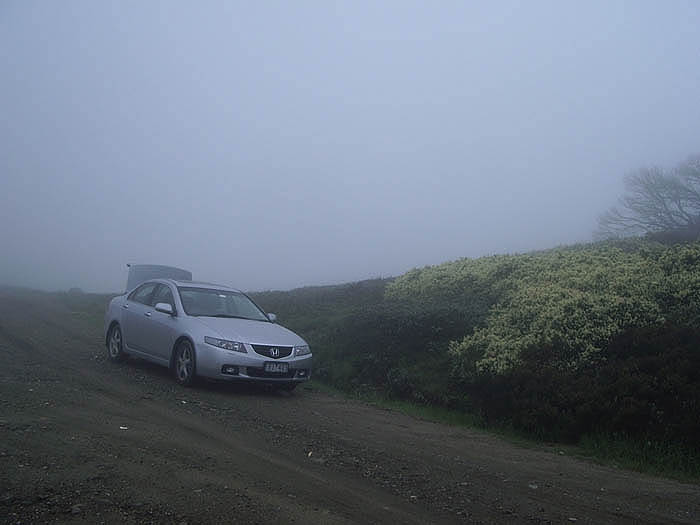 Low cloud mist at the start of the Tawonga Huts walk