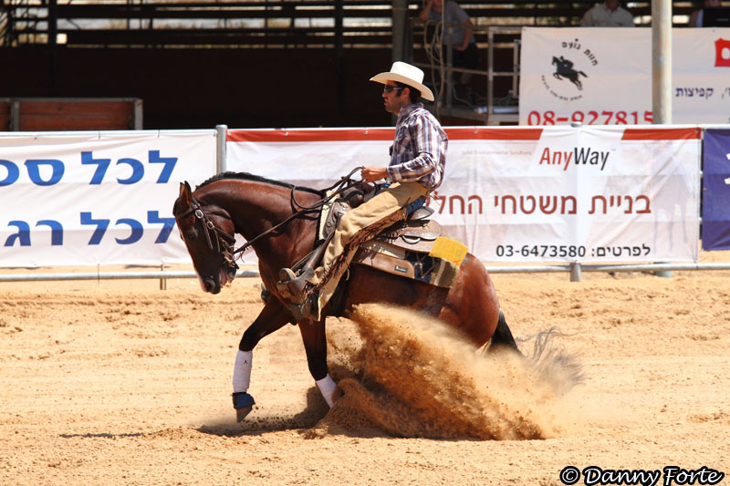 Western Riding State Championship, Israel 2010