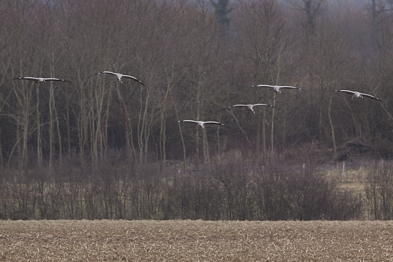 20090307-16.02-50D-4364.jpg