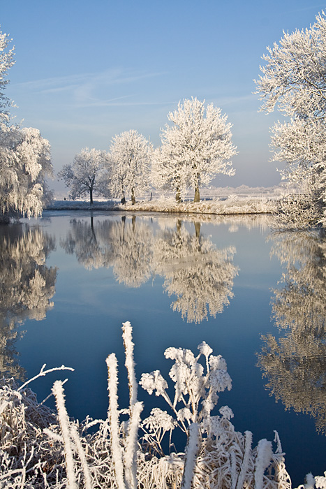 View on the ditch around fortress Werk het Spoel at Culemborg The Netherlands