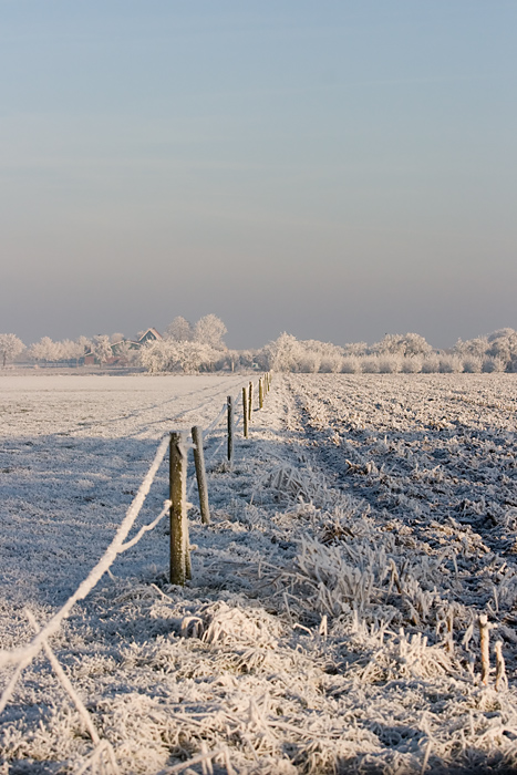 Frozen field