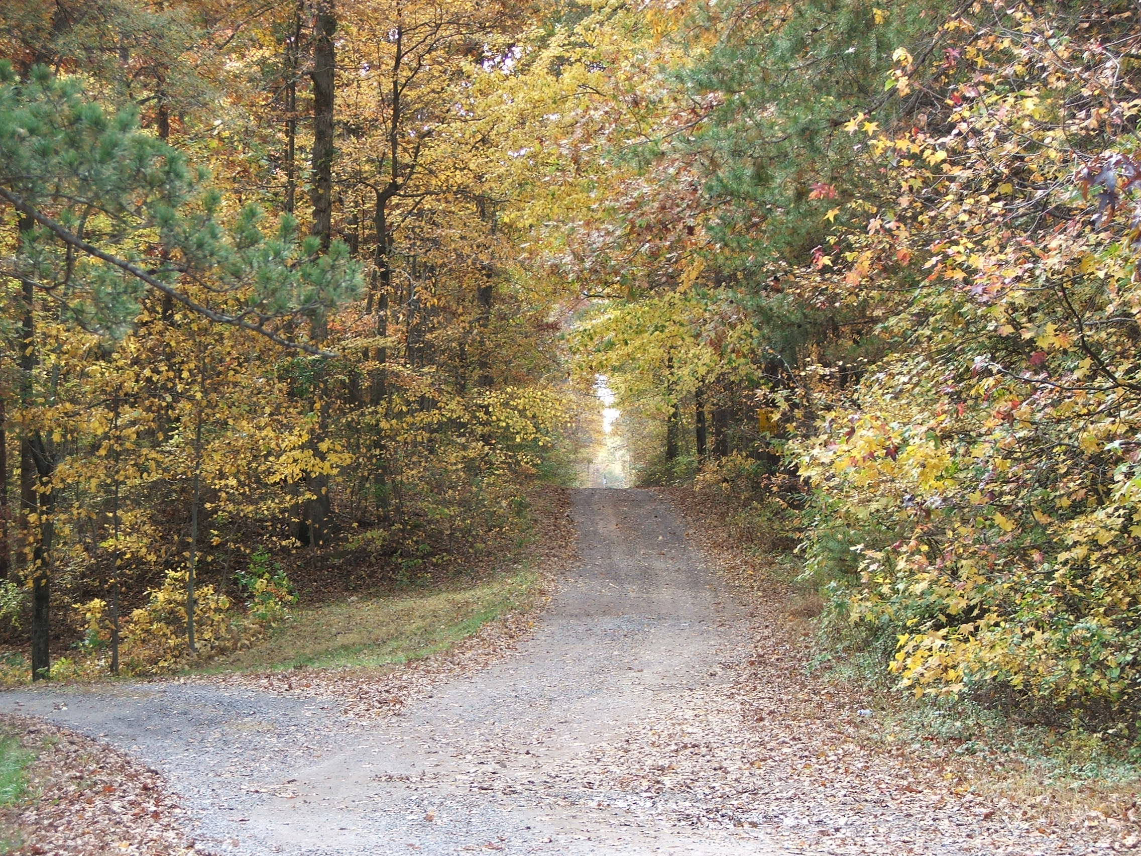 Looking west toward Gold Dale.  The railroad is now occupied by a drive and eventually a power line.