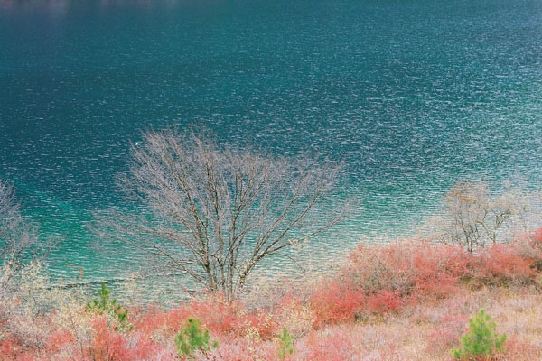 Jiu Zhai Gou in Autumn 02