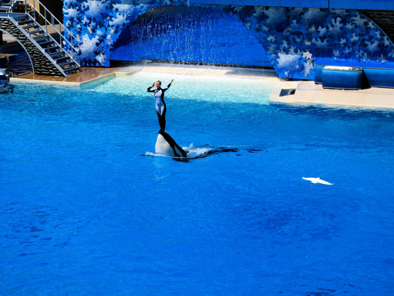 Seaworld