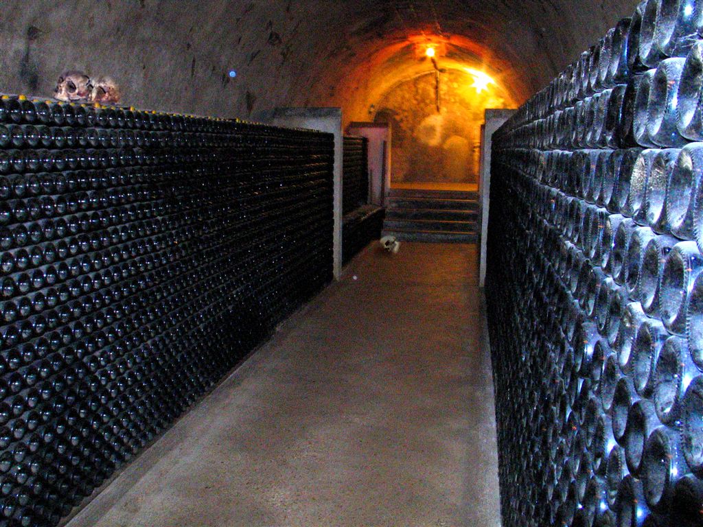 My Vision Of Paris Catacombs