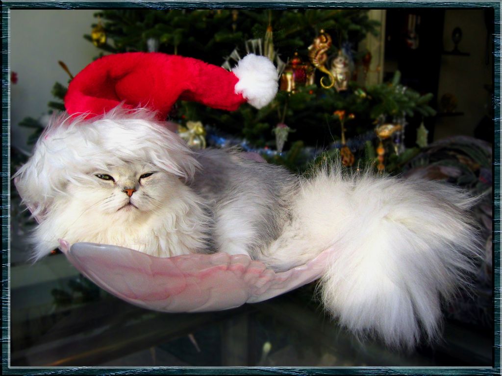 Heres your goddam Ho-Ho-Ho ! Now... Get, the hell, outta  here !