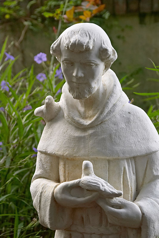 St-Francis-Closeup.jpg