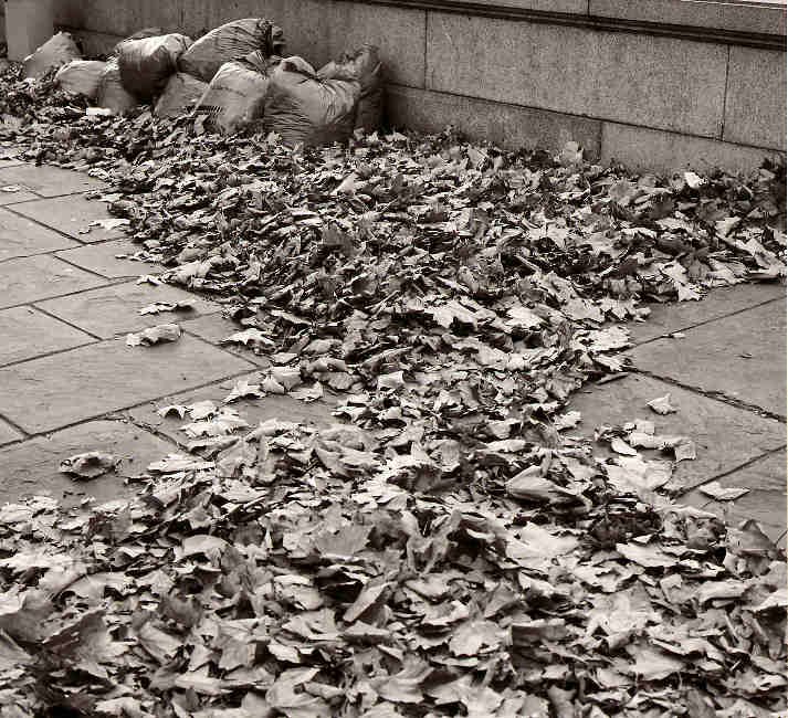 autumn18-j.jpg