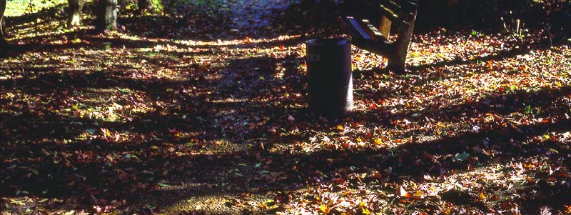 autumn morning2-j.jpg