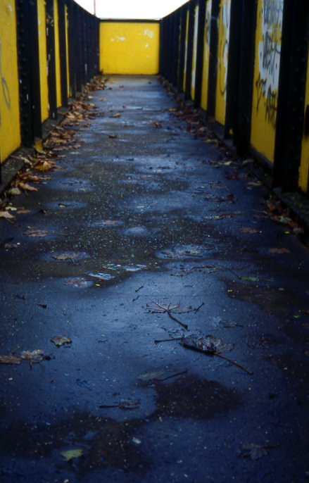 narrow foot-bridge-j.jpg