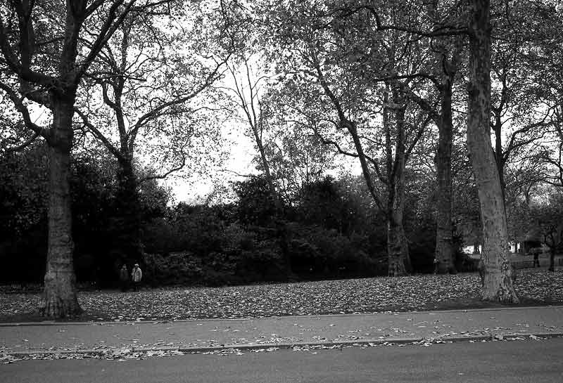 Park in London -j.jpg
