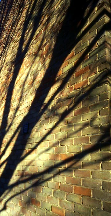 January 7th, Datta