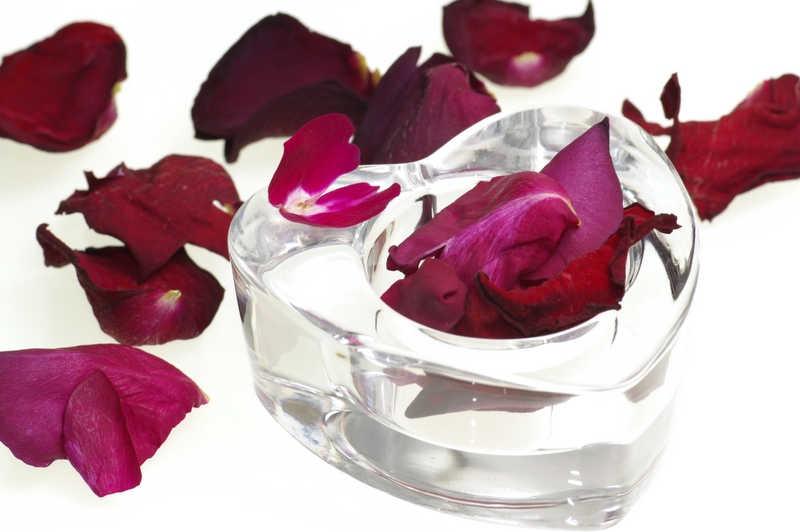Roses Abstract