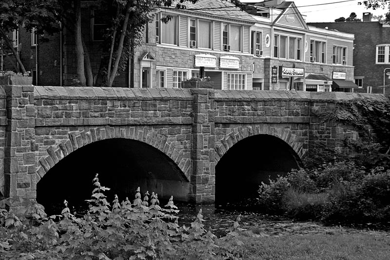 Duck Pond Bridge