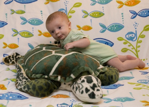 Has graduated from floppy dog to Turtle.