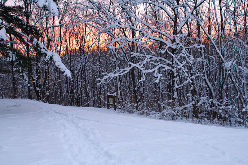 Path into the Sunset