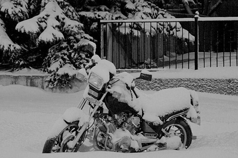 Snowie bike