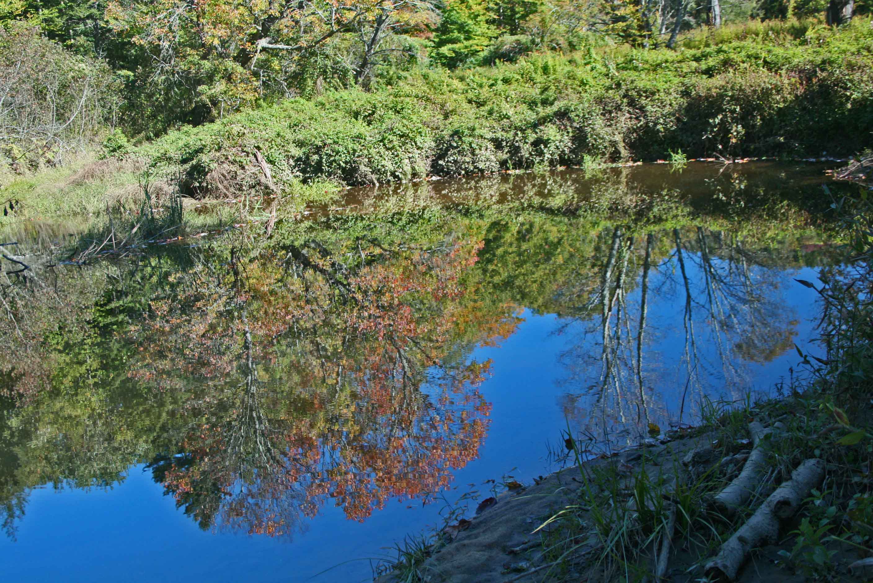 September Reflections in North Cherry Stillwater tb0912yur.jpg