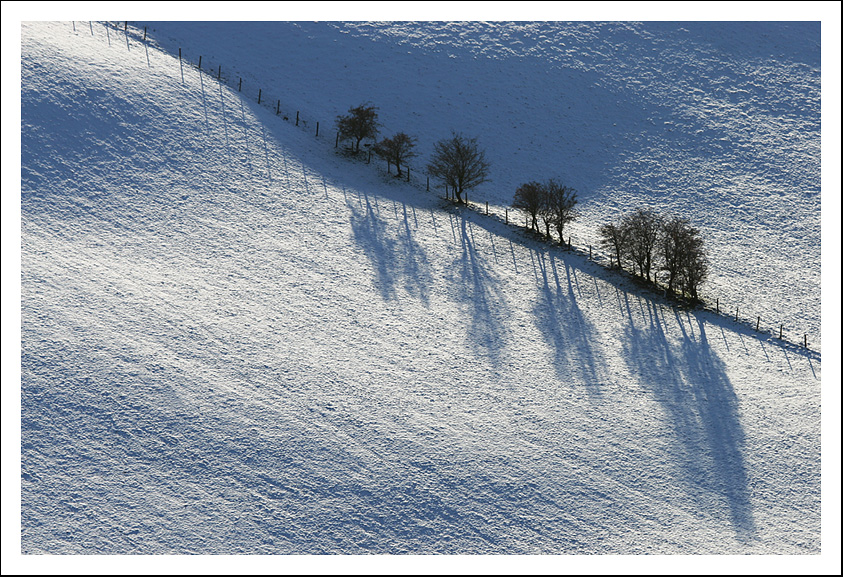 Winter border