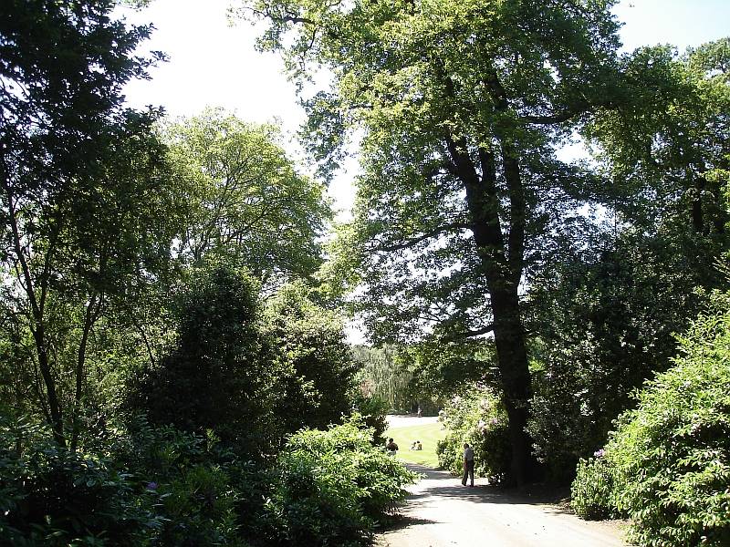 hampsteadt1.jpg