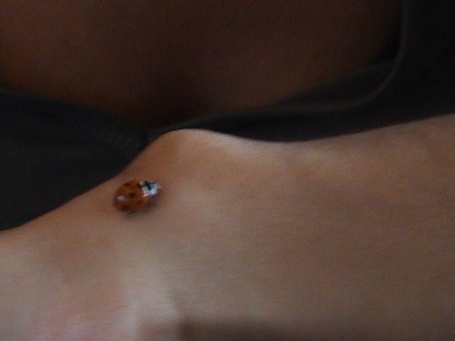 DSC00447.JPG