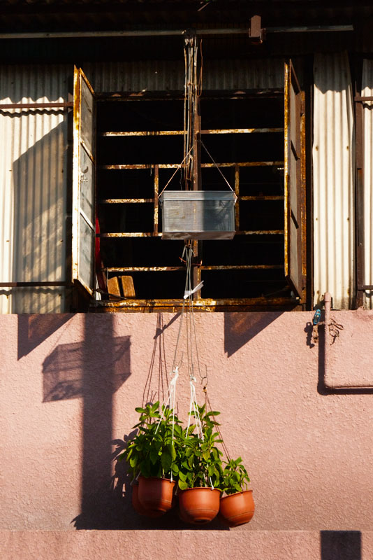 hanging garden