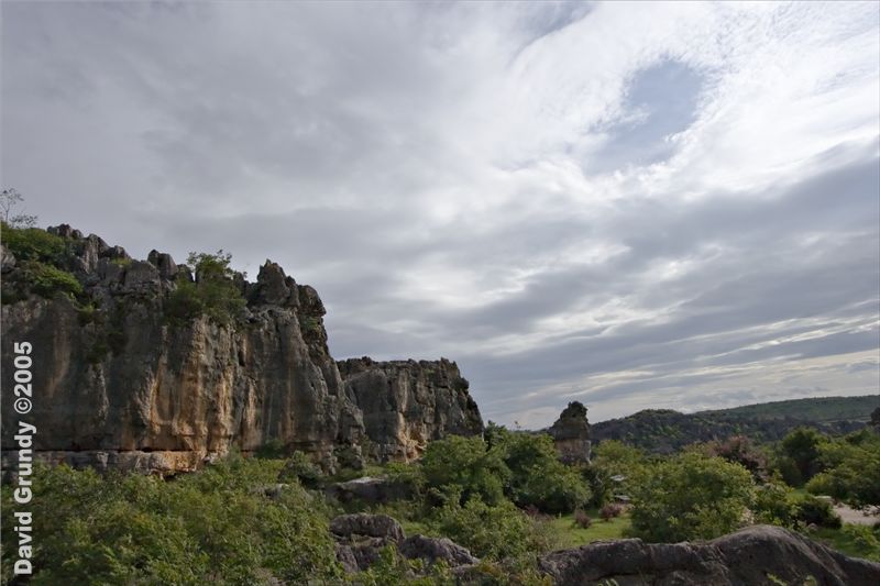 Stone forest