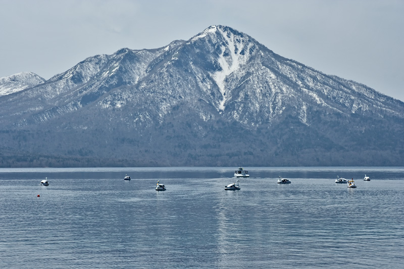 Paddle-ducks on Shikotsu-ko