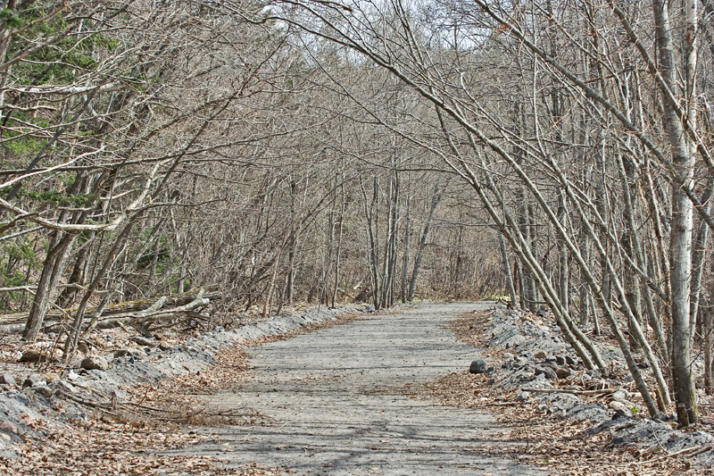 Pathway