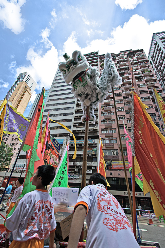 2006.07.01 Lion on a stick