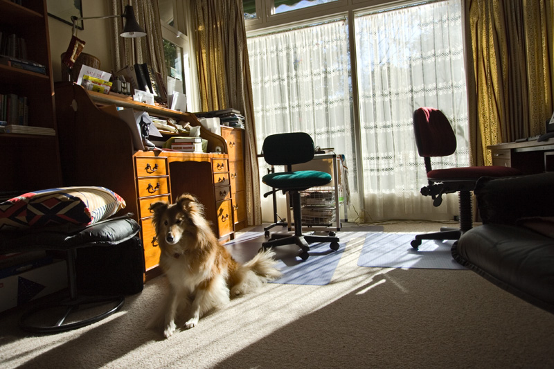 2006.08.01 Shilling (2): sunlit