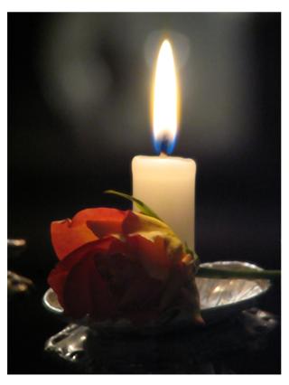 Rose Candle