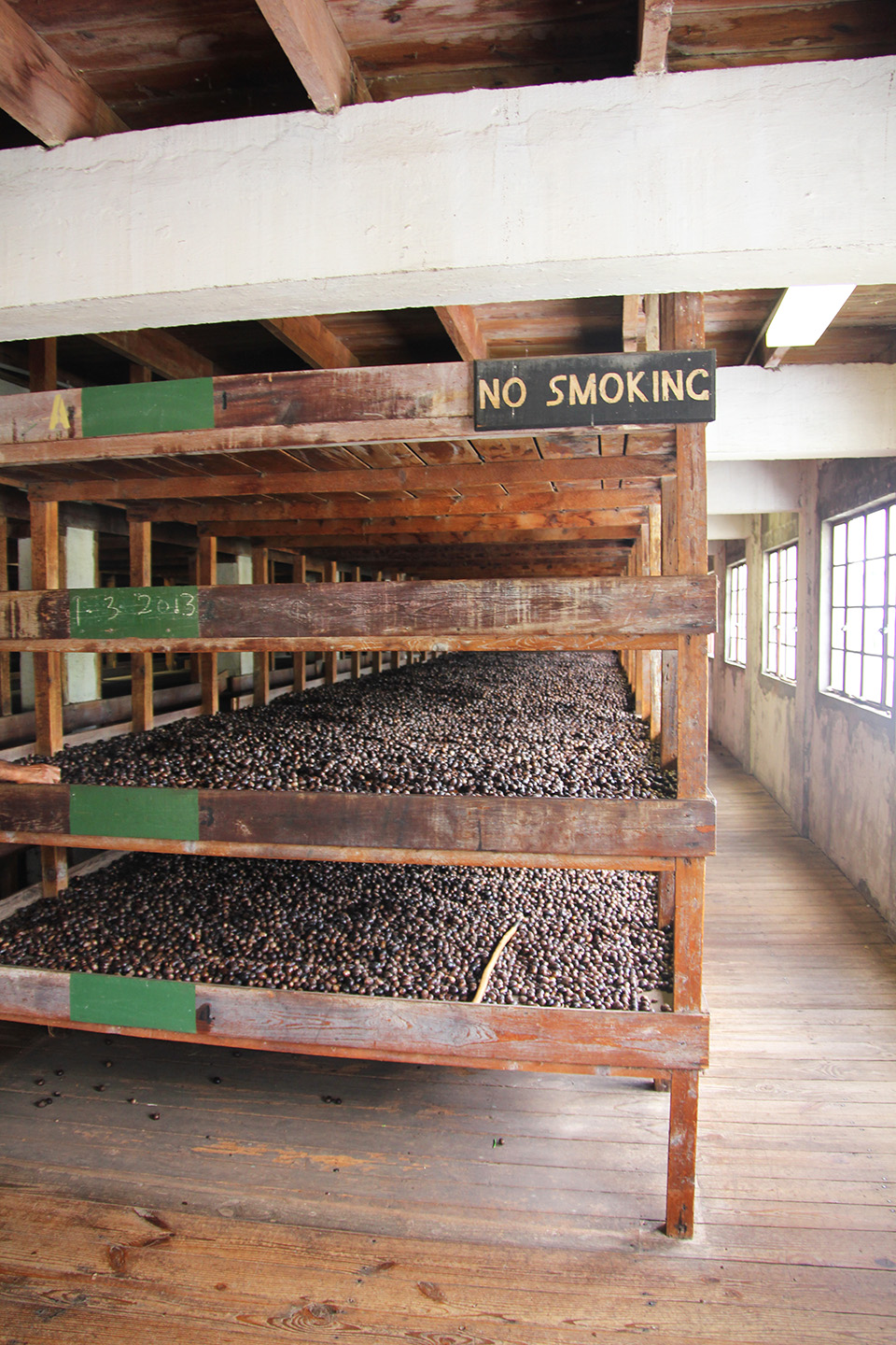 Bins containing thousands of nutmeg beans.