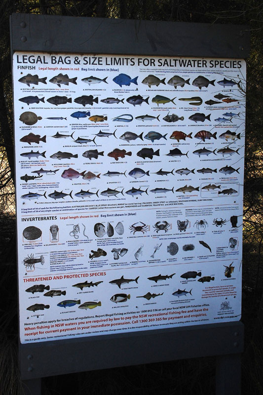 WCS1216.jpg