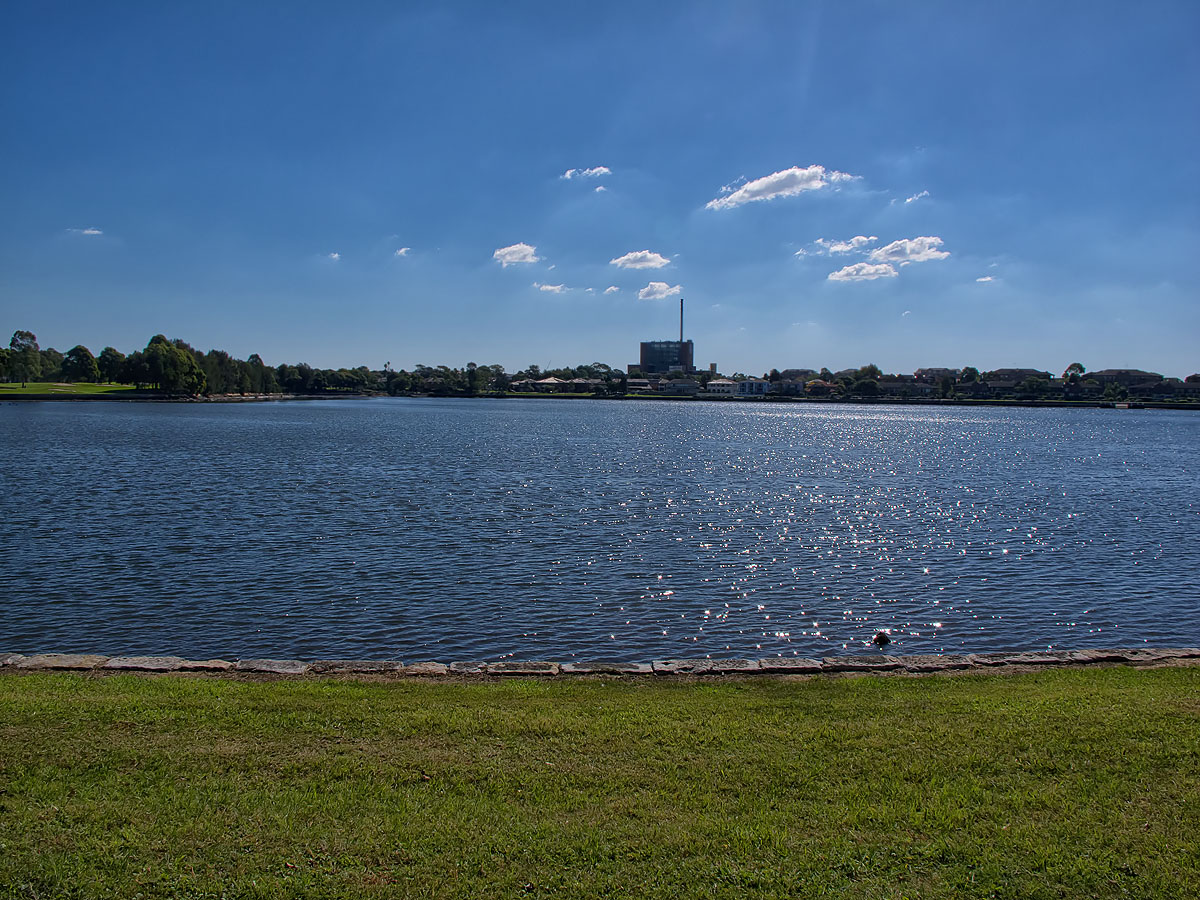 SB1443w.jpg