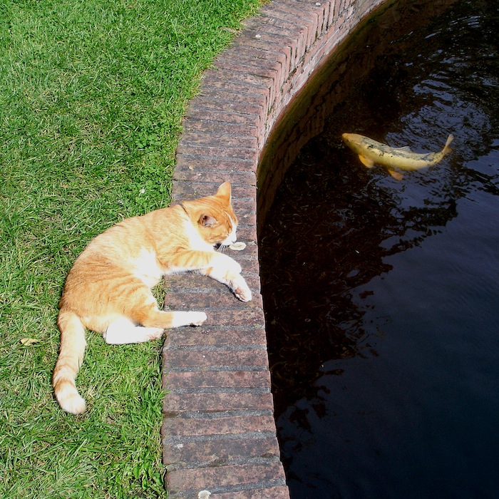 WHO SLEEPS DOESNT CATCH FISHES ...