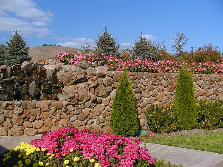 P9298743cc.jpg
