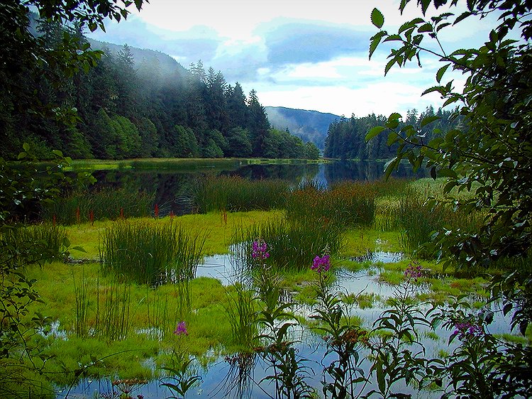 Blind River Reflections