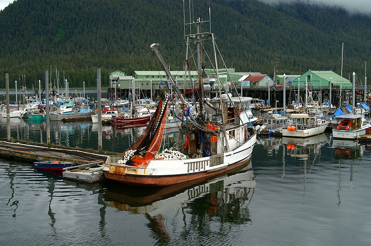 Petersburg Seiner