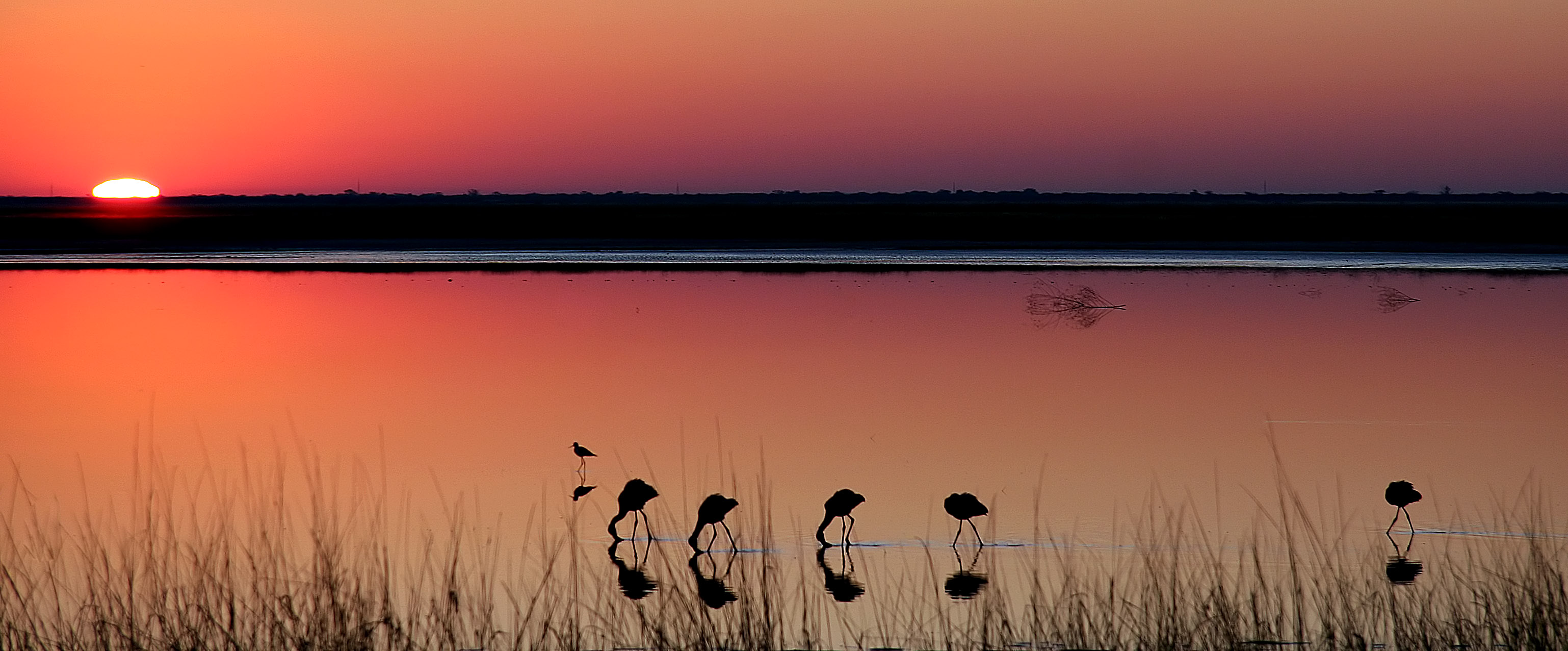 sunrise at natta 2