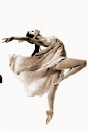 5.gif