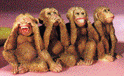 monkeys.gif