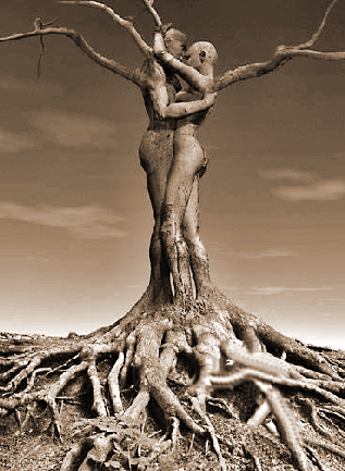 tree love.png