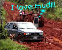 Baby Stuck In Mud.jpg