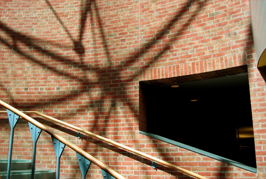 Shadows on a library wall