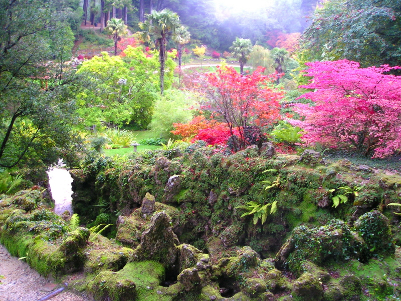 Japanese garden at Powerscourt