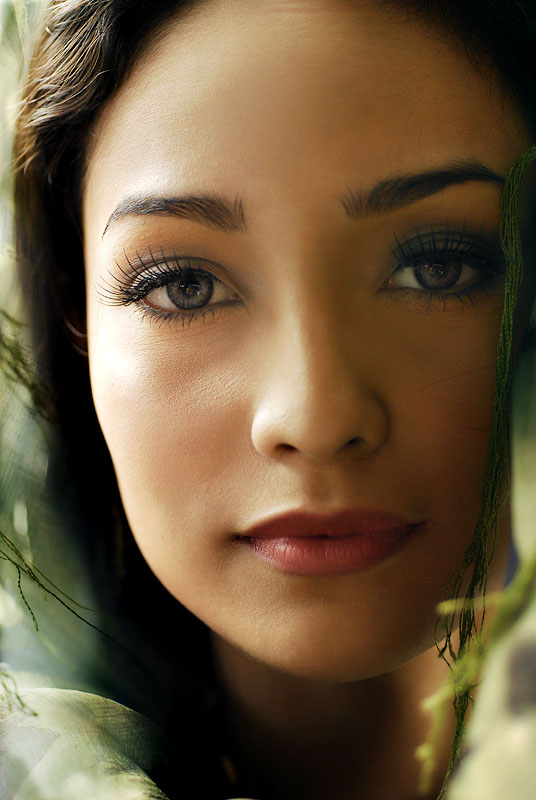 DREAMS 3