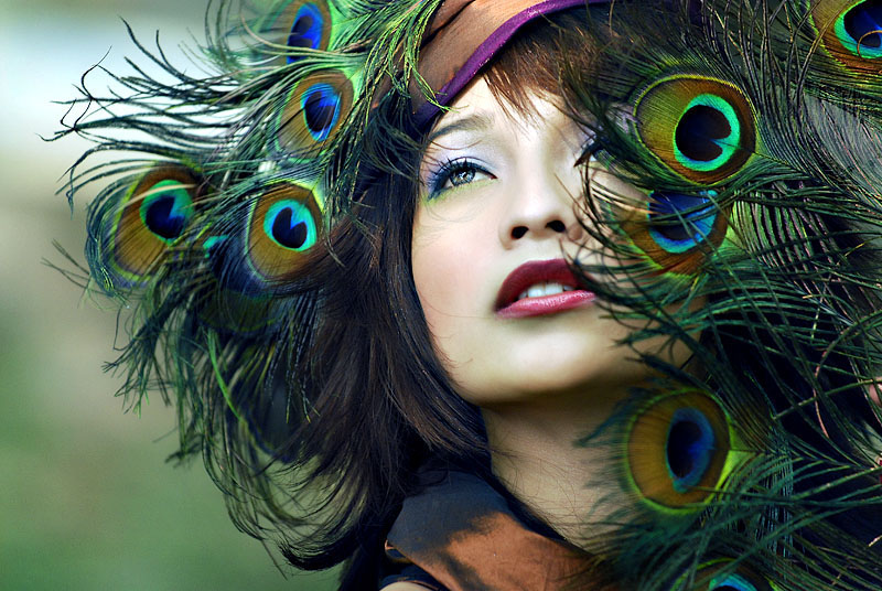 PEACOCK 3