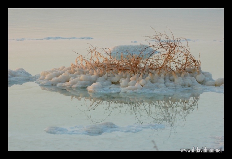 DSC_6428.JPG